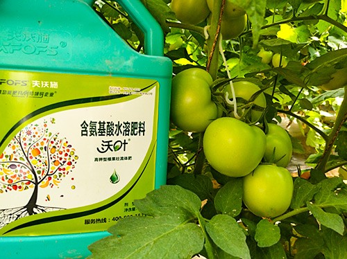 蔬菜沖施肥哪個(gè)品牌好？經(jīng)驗(yàn)實(shí)談