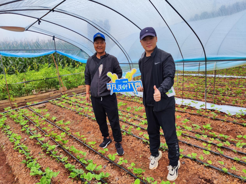 進口水溶肥-草莓沃葉用戶見證.png